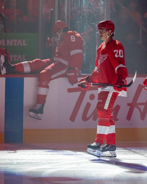 Albert Johansson - Hockey Player (Detroit Redwings)