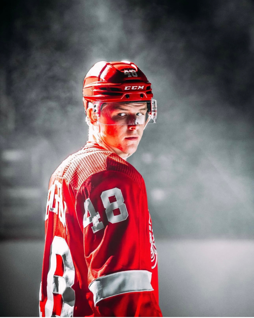 Jonatan Berggren - Hockey Player (Detroit Redwings)