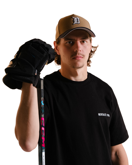 Albert Johansson - Hockey Player (Detroit Redwings)